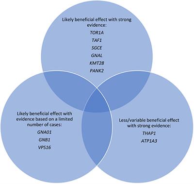 Pallidal Deep Brain Stimulation for Monogenic Dystonia: The Effect of Gene on Outcome